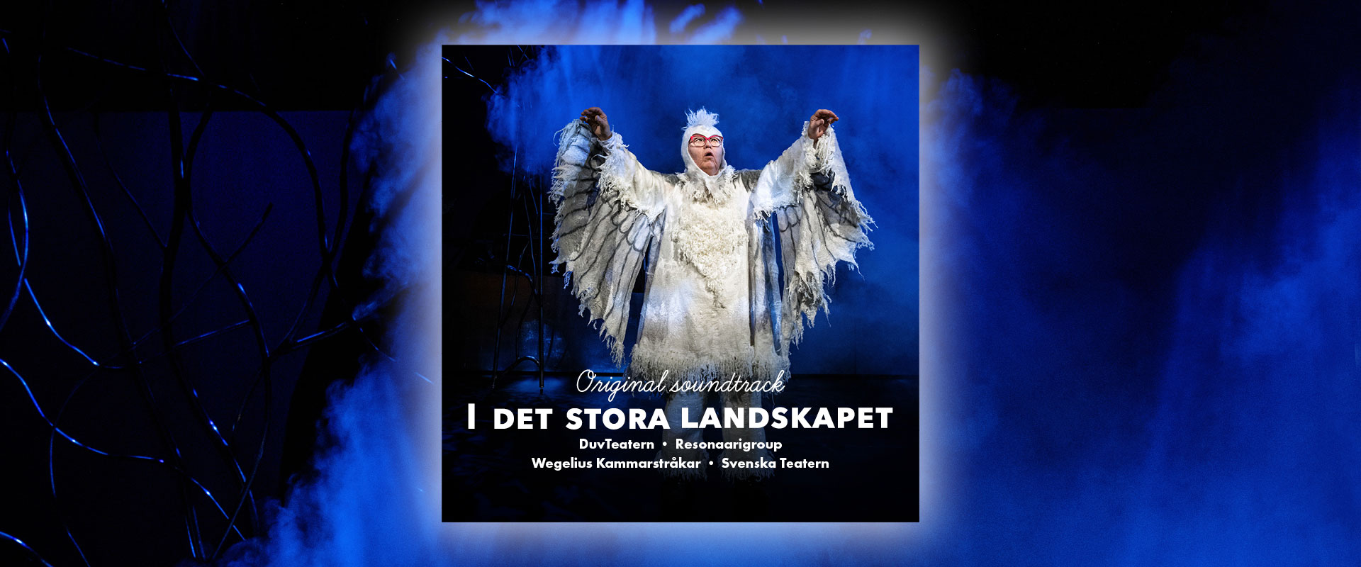 Skivomslaget. Ett foto av föreställningens uggla som brer ut sina vita vingar. Under står texten Original soundtrack I det stora landskapet original, DuvTeatern, Resonaarigroup, Svenska Teatern, Wegelius Kammarstråkar. 